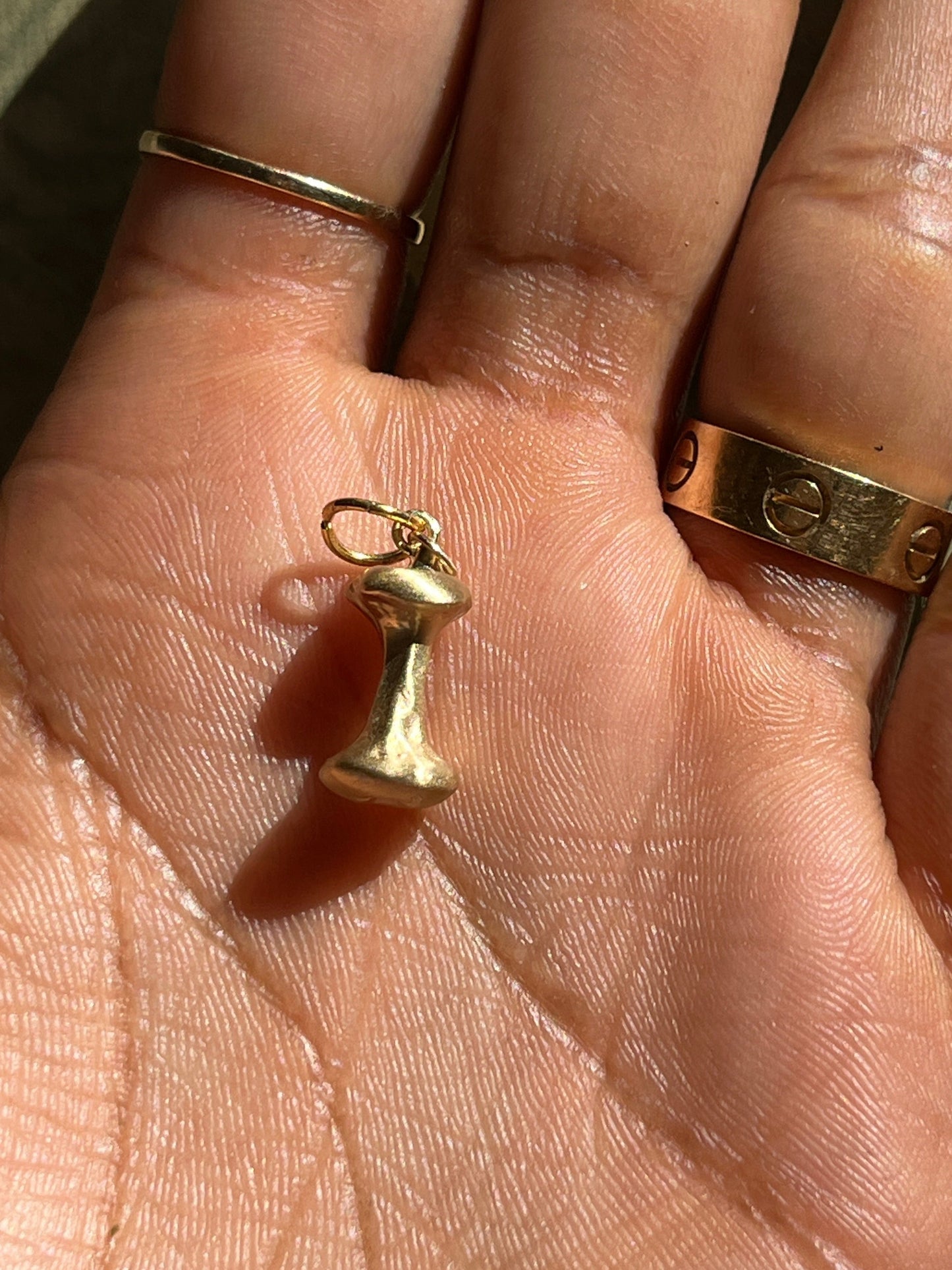 Apple Core Charm